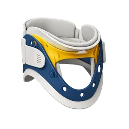 Transparent PNG of the GTA V item stifneck