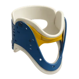 Transparent PNG of the GTA V item stifneck_2