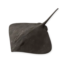 Transparent PNG of the GTA V item stingray_1