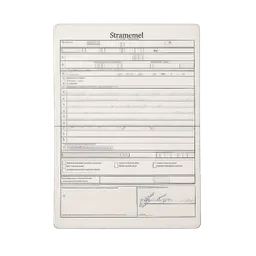 Transparent PNG of the GTA V item strafzettel