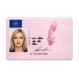 Transparent PNG of the GTA V item swedish_drivers_licence