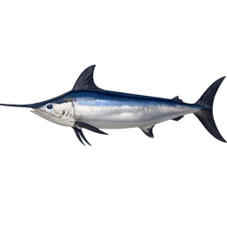 Transparent PNG of the GTA V item swordfish