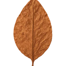 Transparent PNG of the GTA V item tabakblatt