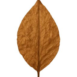 Transparent PNG of the GTA V item tobacco_leaf