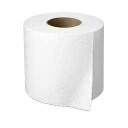 Transparent PNG of the GTA V item toilet_paper