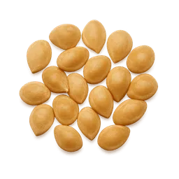Transparent PNG of the GTA V item tomato_seeds_3d