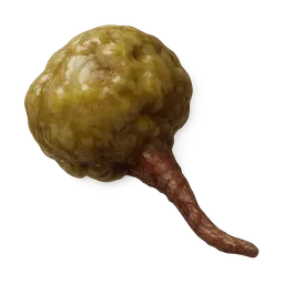 Transparent PNG of the GTA V item toxic_gland