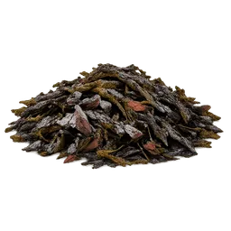 Transparent PNG of the GTA V item trah_seaweed
