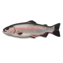Transparent PNG of the GTA V item trota_fresca