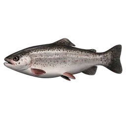 Transparent PNG of the GTA V item trout