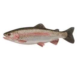 Transparent PNG of the GTA V item trout_1