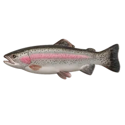 Transparent PNG of the GTA V item trout_2