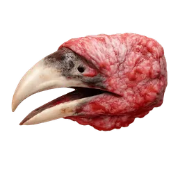 Transparent PNG of the GTA V item turkey_beak