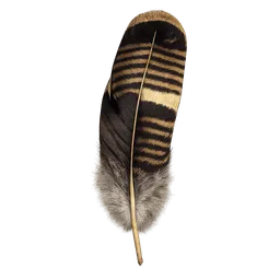 Transparent PNG of the GTA V item turkey_feather