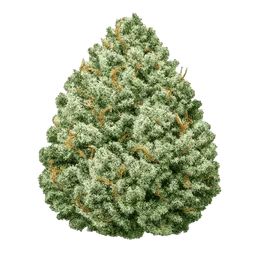 Transparent PNG of the GTA V item ultra_realistic_skunk_cannabis_bud_dense_flowers_frosty_trichomes_vivid_green_is