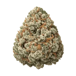 Transparent PNG of the GTA V item unbaked_bud