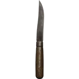 Transparent PNG of the GTA V item waffenfeder