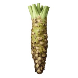 Transparent PNG of the GTA V item wasabi_root