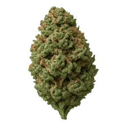 Transparent PNG of the GTA V item weed_15