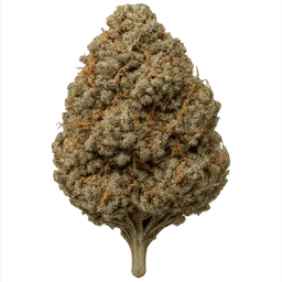 Transparent PNG of the GTA V item weed_buds