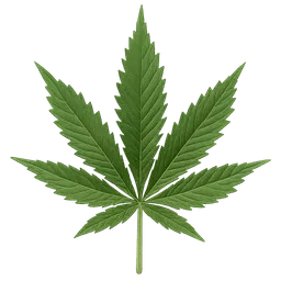 Transparent PNG of the GTA V item weed_leafs