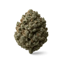 Transparent PNG of the GTA V item weed_og_kush