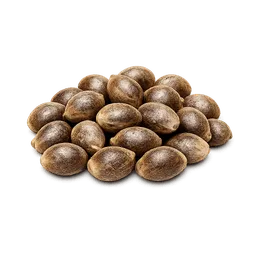 Transparent PNG of the GTA V item weed_samen