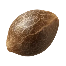 Transparent PNG of the GTA V item weed_seed_8