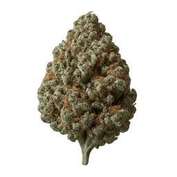 Transparent PNG of the GTA V item weed_white_widow