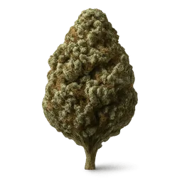 Transparent PNG of the GTA V item wet_bud