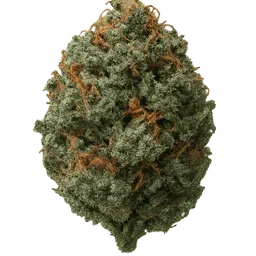 Transparent PNG of the GTA V item wet_widow_weed
