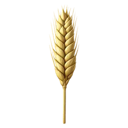 Transparent PNG of the GTA V item wheat_1