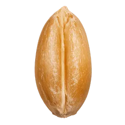 Transparent PNG of the GTA V item wheat_seed