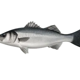 Transparent PNG of the GTA V item wolfsbarsch_fisch