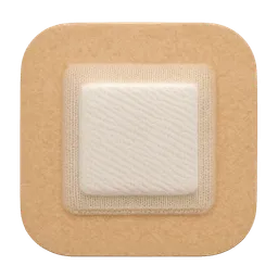 Transparent PNG of the GTA V item wundauflage