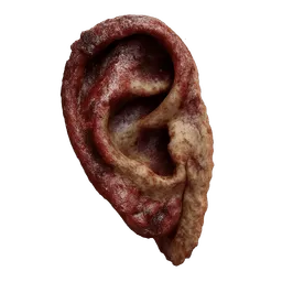 Transparent PNG of the GTA V item zombie_ear