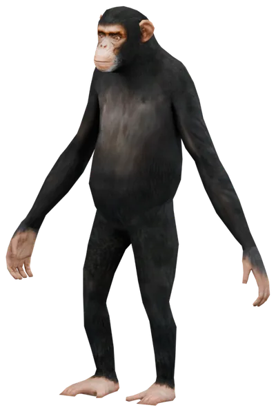 Transparent PNG of the GTA V ped a_c_chimp_02