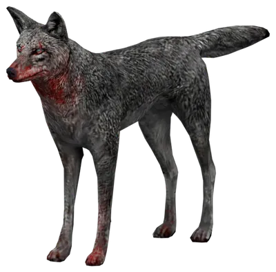 Transparent PNG of the GTA V ped a_c_coyote_02