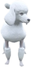 Transparent PNG of the GTA V ped a_c_poodle_2