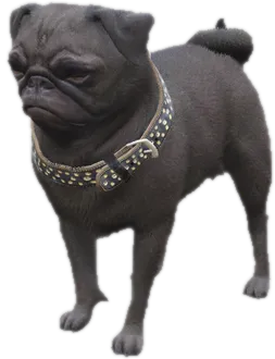 Transparent PNG of the GTA V ped a_c_pug