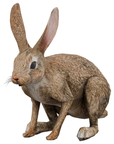 Transparent PNG of the GTA V ped a_c_rabbit_02