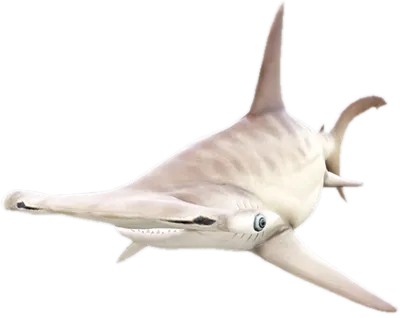 Transparent PNG of the GTA V ped a_c_sharkhammer