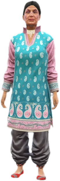 Transparent PNG of the GTA V ped a_f_o_indian_01