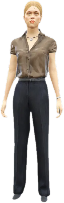 Transparent PNG of the GTA V ped a_f_y_business_01