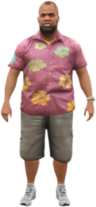 Transparent PNG of the GTA V ped a_m_m_afriamer_01