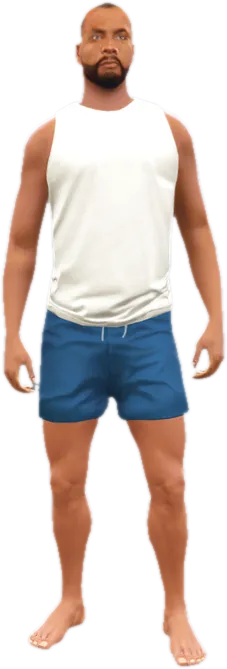 Transparent PNG of the GTA V ped a_m_m_beach_02