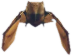 Transparent PNG of the GTA V ped amp_bat