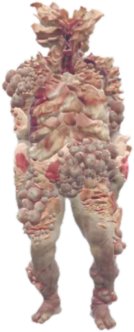 Transparent PNG of the GTA V ped amp_bloaterzombie
