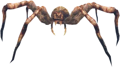 Transparent PNG of the GTA V ped amp_spider