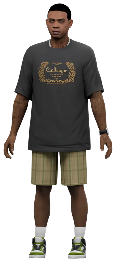 Transparent PNG of the GTA V ped cs_lamardavis_02